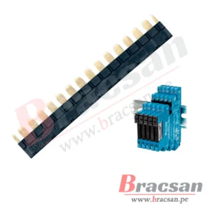 Bracsan