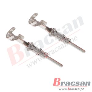 Bracsan