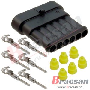 Bracsan