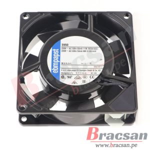 Bracsan