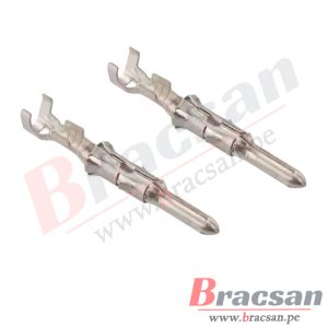 Bracsan
