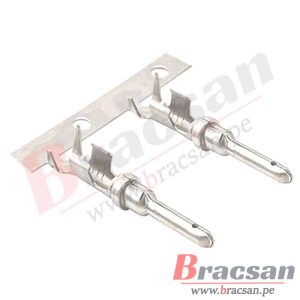 Bracsan