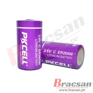 Bracsan