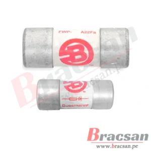 Bracsan