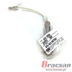 Bracsan