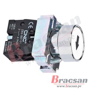 Bracsan