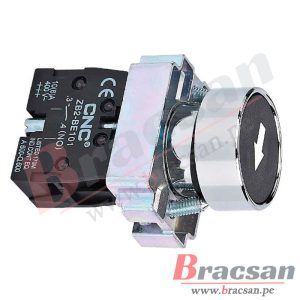 Bracsan