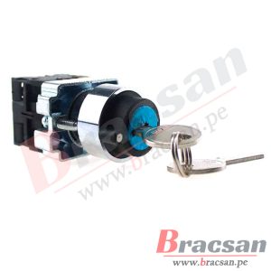 Bracsan