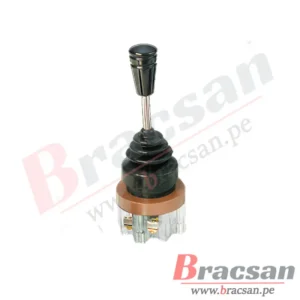 Bracsan