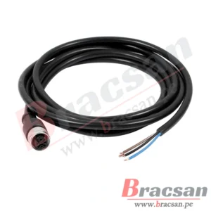 Bracsan
