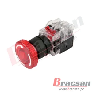 Bracsan