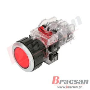 Bracsan
