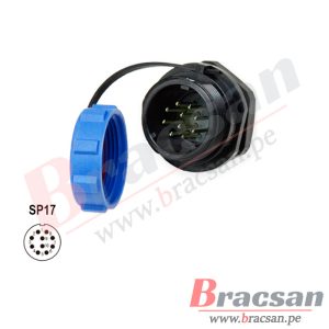 Bracsan