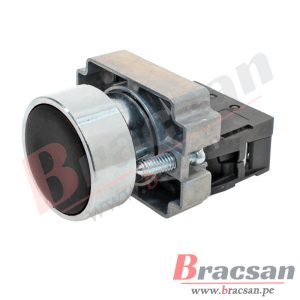 Bracsan